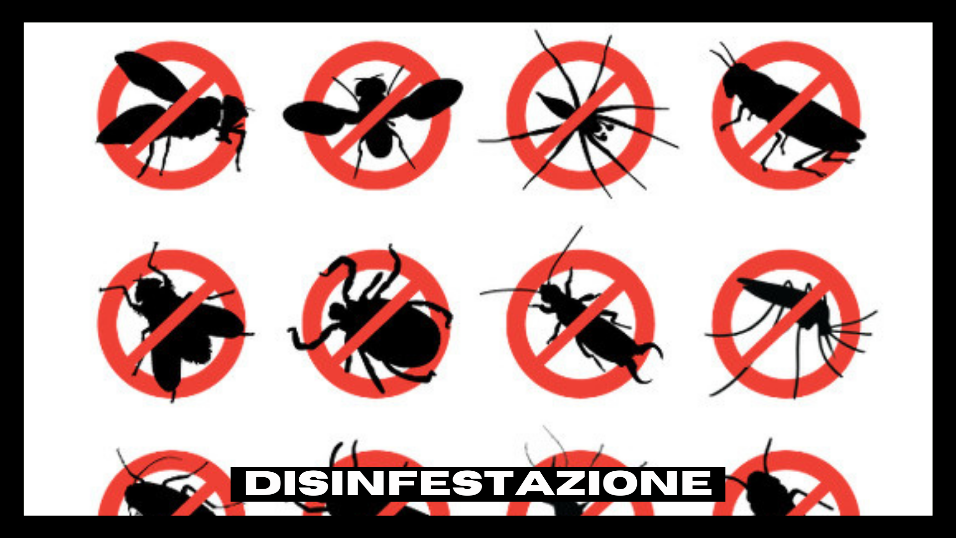 Disinfestazione